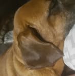 Henry Metts - Facebook