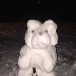 Henry Meyer - @henry.meyer.311 - Instagram