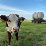 Henry Meyer - @photography_henrythe5 - Instagram
