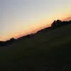 henry.meyer14 - @henry.meyer14 - TikTok