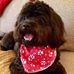 ShirleyandHenry Middlebrooks - Facebook