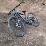 Henry Minton - @minton_henry2014 - Instagram