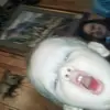 henryminton6 - @henryminton6 - TikTok