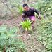 Henry Mirabal - Facebook