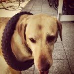 Henry Mix - @fahrradmix - Instagram