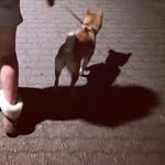 HenryMohn - @henrymohn - Instagram