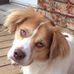 Henry Monteforte - Facebook