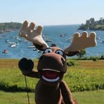 Henry the Moose - @henrythemooseme - Instagram