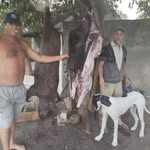 Henry Morel - @henrymorel_ - Instagram