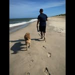 Henry Morelli - @henry.morelli - Instagram