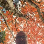 Henry Trey Morelli - @hankermo - Instagram