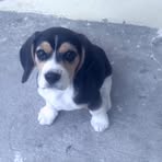 Henry Moreta - Facebook