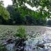 Henry Morgenthau Preserve - Facebook
