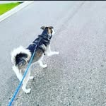 Henry Morin - @henrymorin84 - Instagram