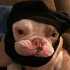 Henry Morin - @henry.morin4 - TikTok