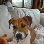 Henry Morin - Facebook