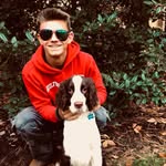 Henry - @henry_mountaindog1 - Instagram