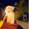 Henry Mountcastle - @henrymountcastle - TikTok