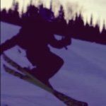 Henry - @henry_muir - Instagram
