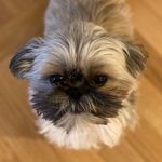 Henry Mulligan Who - @ohenrymulligan - Instagram
