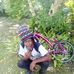 Henry Newell - Facebook