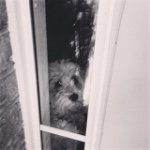 Henry Newell - @o.henry.newell - Instagram