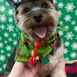 Moreen henry newell - @mojocan - Instagram