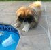 Henry Ogden - Facebook