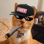 henry - @henrytheorangeman - Instagram