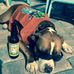 Henry Padgett - Facebook