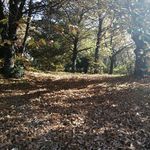 Henry Pando - @hmpm1961 - Instagram