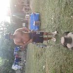 Henry Parada Zabala - @henryparadazabala - Instagram