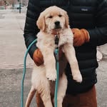 Henry Parris - @henry__parris - Instagram