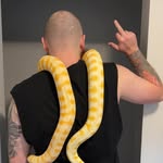Henry Paterson - @hpatto_707 - Instagram
