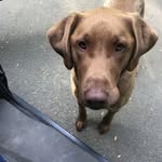Henry Pennington - @henry.pennington.50 - Instagram