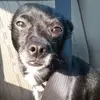 Henry Pennington - @henry.pennington74 - TikTok