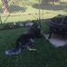 Hank Pinkerton - Facebook