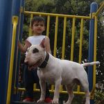 Henry Plata - @gringo_plata - Instagram