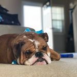 Henry Benjamin Plunkett - @henny.benny.eb - Instagram