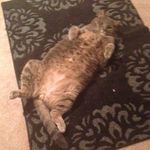@henry_plunkett - Instagram