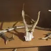 Henryk Polak417 - @henrykpolak417 - TikTok