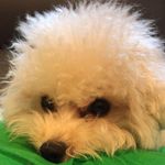 Pong Henry - @pong.henry.1 - Instagram