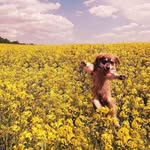 Henry Presley - @henrypresley562 - Instagram