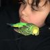 Henry Primel - Facebook