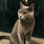 CC - @henry_prince._ - Instagram