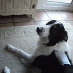 Henry Pritchard - @hp1403 - Instagram