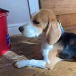 Henry Pritchard - @henrypritchard63 - Instagram