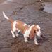 Henry Purvis - Facebook