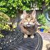 Henry Purvis - Facebook