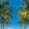 Henry Quinto - @henry.quinto2 - TikTok